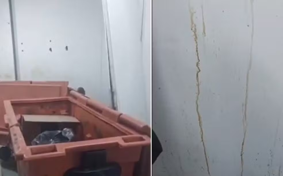 Vídeo gravado por moradora mostra ratos, barata e sujeira dentro de UPA em Cabo Frio: 'aqui tá sujo de sangue'