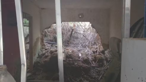 Deslizamento às margens da RJ-186 preocupa moradores há quase cinco anos em Santo Antônio de Pádua (VIDEO)