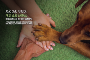 MPRJ ajuíza ação para que Município do Rio implemente o Fundo Municipal de Proteção Animal